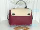 Replica L---V Modern Style White&Purple Genuine Leather Women's Bag (4)_th.jpg